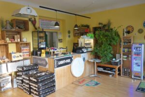 Starbuds Graz Hanfshop