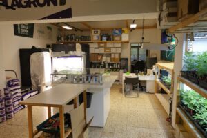 Starbuds Graz Growshop