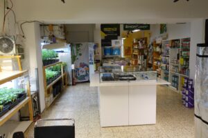 Starbuds Graz Headshop