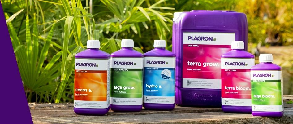 Plagron Dünger Starbuds Graz