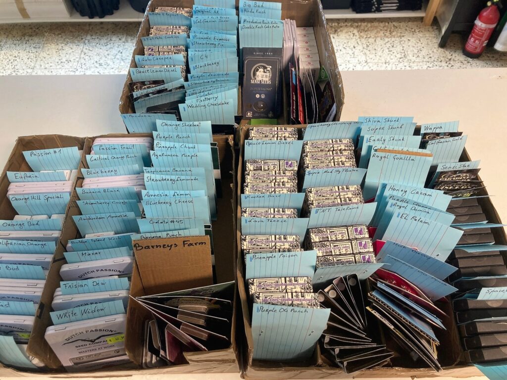 hanf saatgut starbuds graz