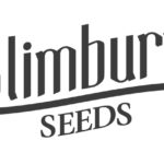 blimburn seeds graz
