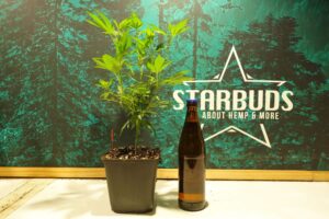 starbuds graz stecklinge