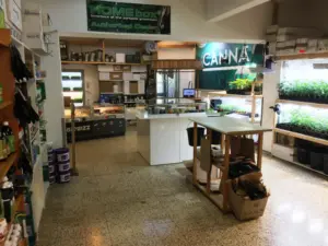 starbuds hempshop graz