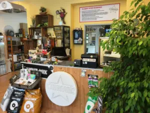 starbuds hempshop graz